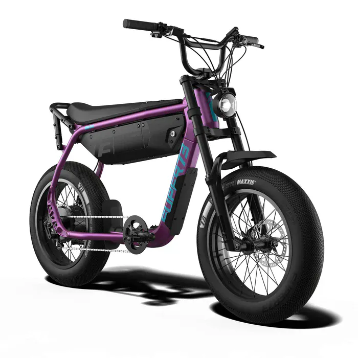 Electric Bikes